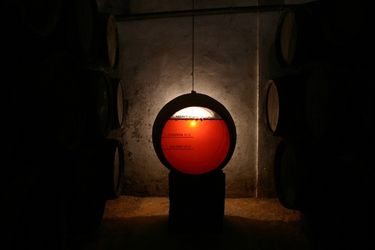 guided tour wine cellar in seville