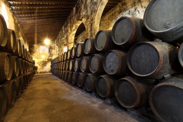 wine cellar jerez day trip from seville