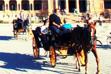 Carriage Tour in Seville