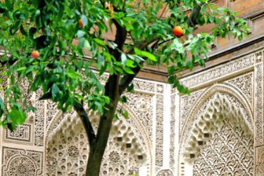 Seville cathedral guided tour