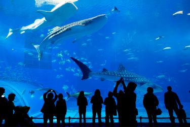 visit Seville Aquarium tickets included photo