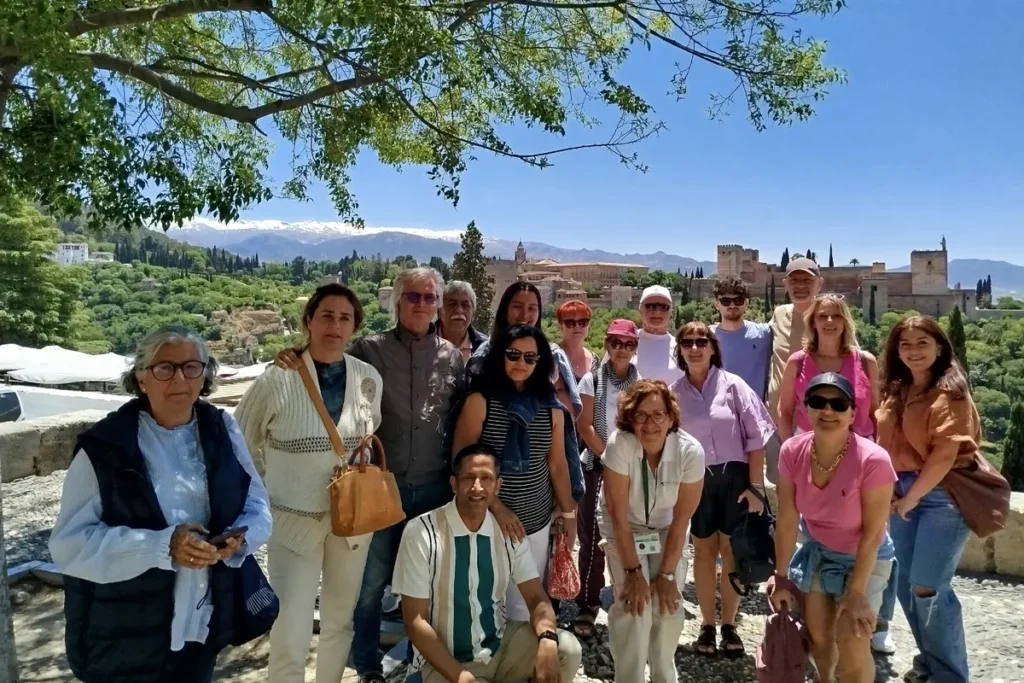 The Alhambra framed by trees with the snows of the Sierra Nevada behind