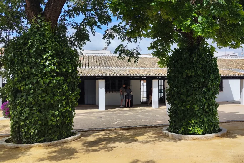 Ivy-clad courtyard of a traditional Andalusian winery near Seville