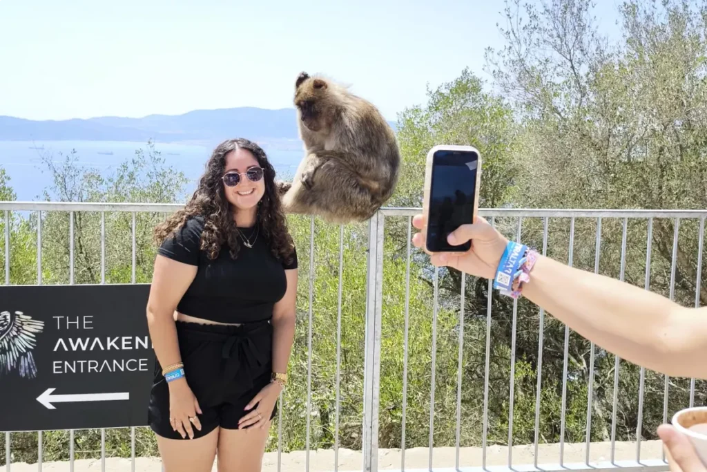 A Barbary macaque perched on a railing beside a visitor in Gibraltar
