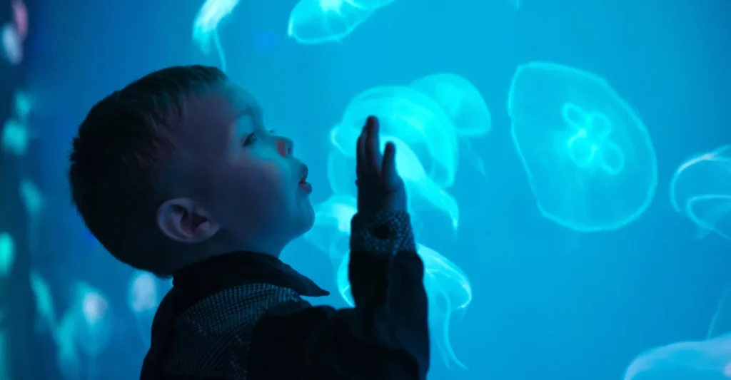 A child reaching towards a tank of jellyfish at the Seville aquarium