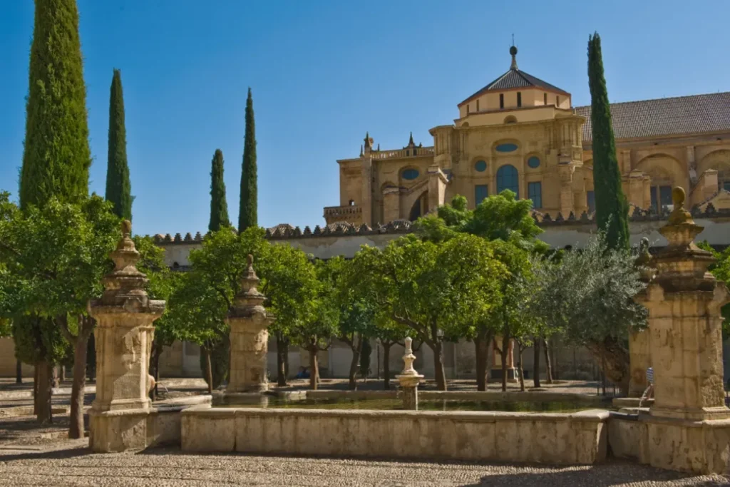 Orange trees in the Patio de los Naranjos beside the Mosque-Cathedral