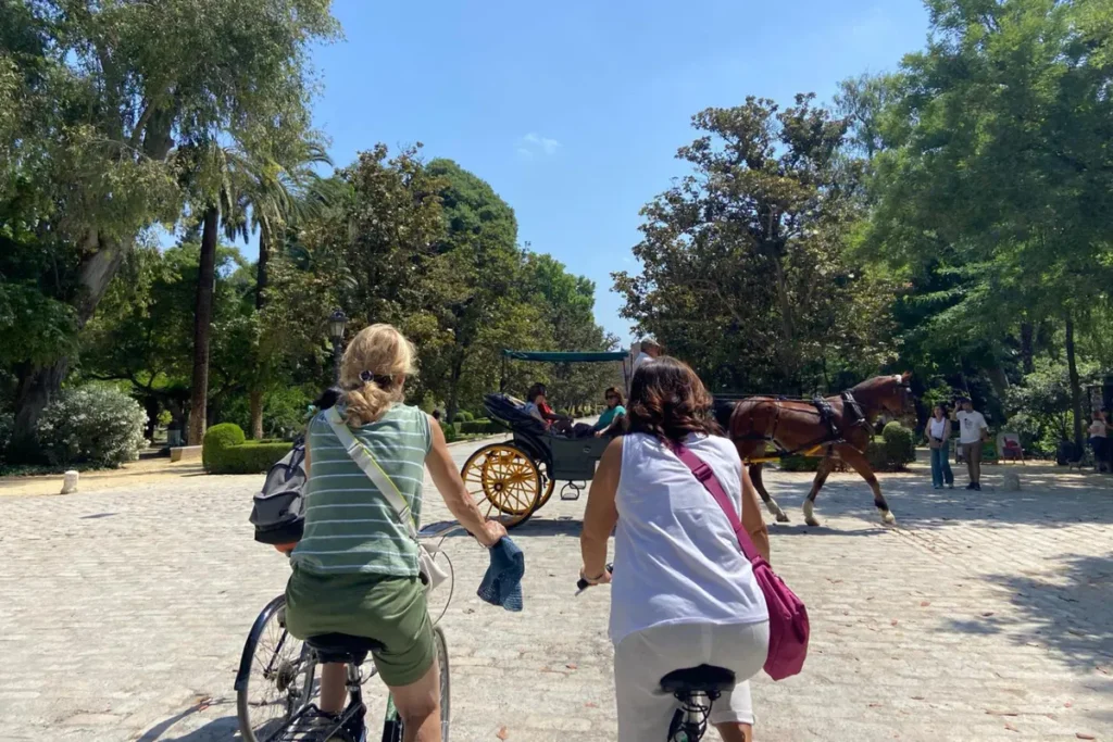 Two cyclists riding past a horse-drawn carriage in Seville