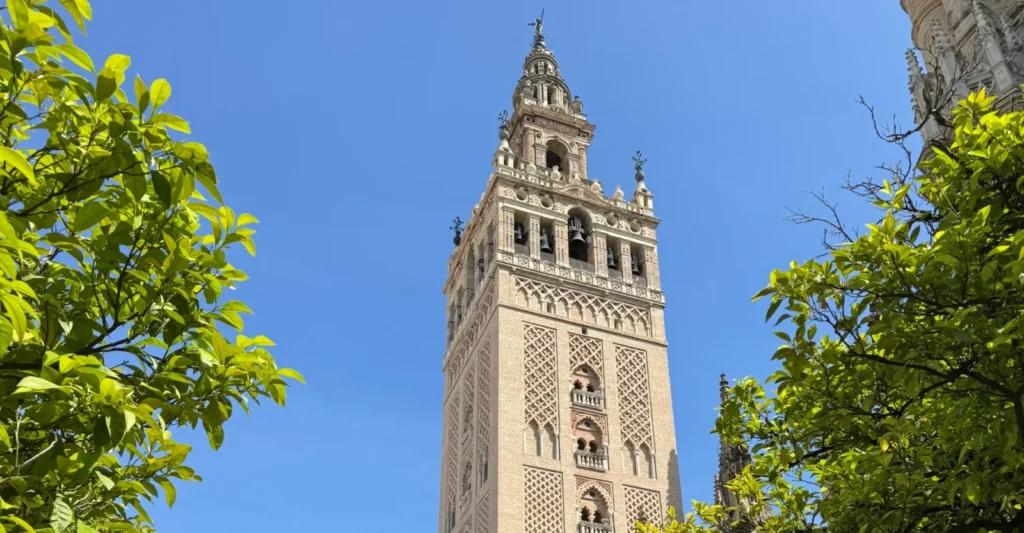 The Giralda seen through the branches of orange trees against a blue sky