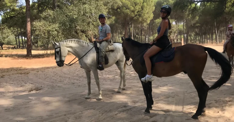Two riders on horseback among umbrella pines in the countryside near Seville