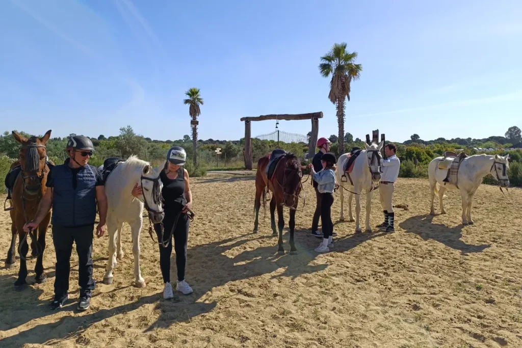 Horses saddled and waiting in the sand paddock before the ride