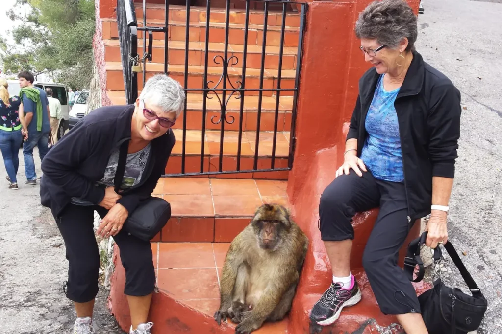 A Barbary macaque sitting on steps beside visitors in Gibraltar