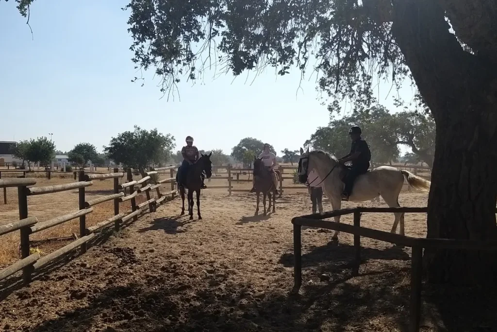 Riders setting off from the paddock under holm oaks