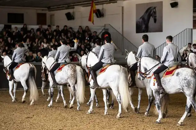 A line of riders on grey horses at the end of an equestrian show