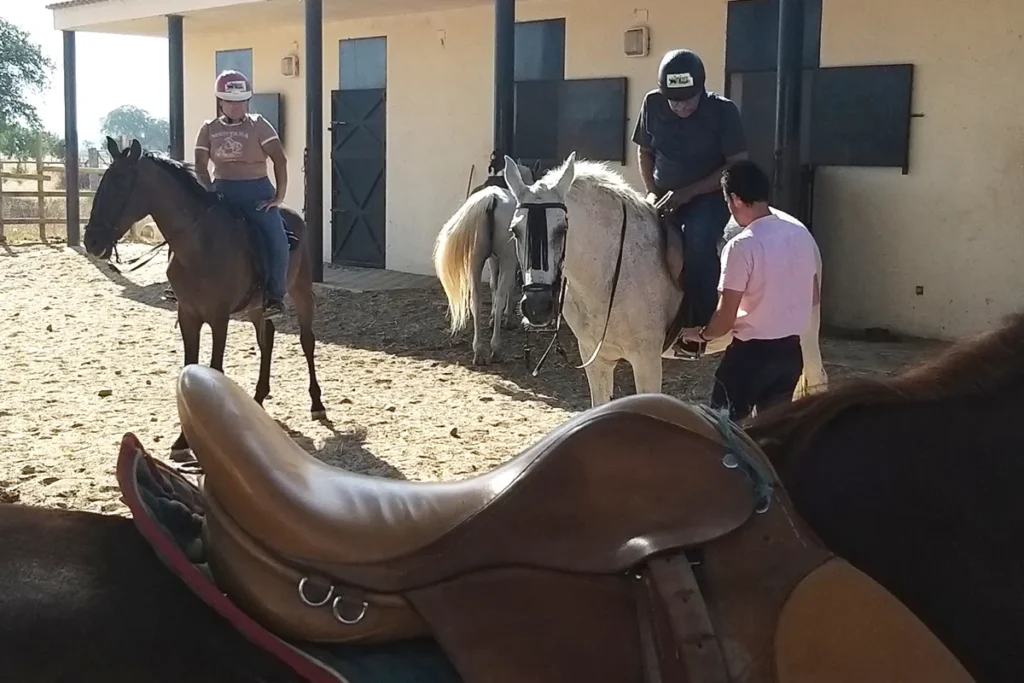 Saddles laid out and horses being prepared at the equestrian centre