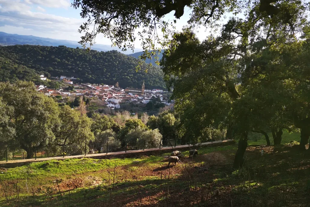 The village of Aracena seen across the wooded hills of the sierra