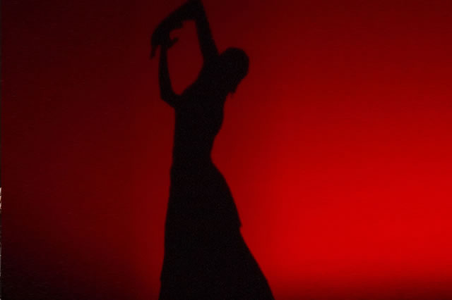 The silhouette of a flamenco dancer against a red backdrop