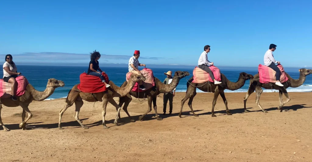Travelers riding camels along the Atlantic beach near Tangier in Morocco