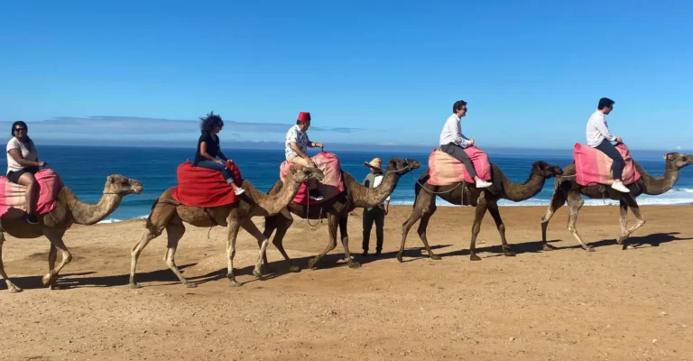Travelers riding camels along the Atlantic beach near Tangier in Morocco