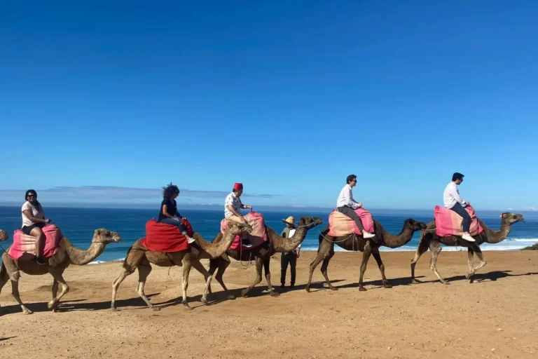 Travelers riding camels along a beach