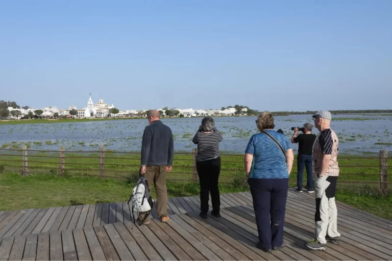 Travelers on a wooden boardwalk overlooking the wetlands