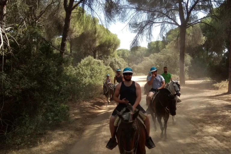 Travelers horse riding along a track through pine woods