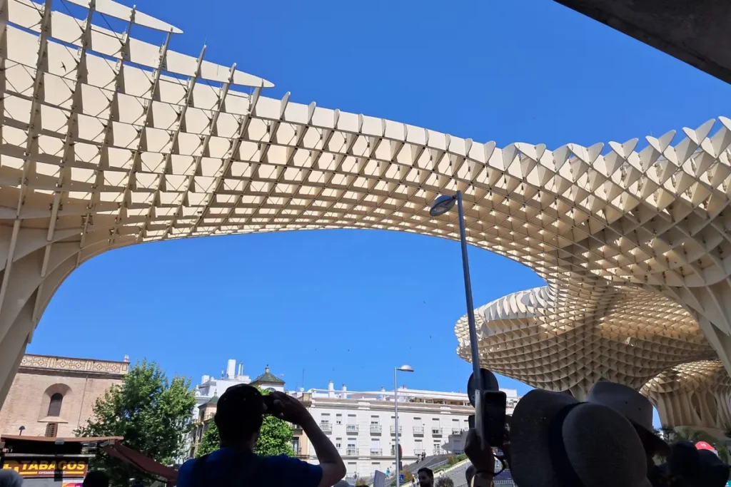 Looking up at the underside of the Metropol Parasol canopy in Seville