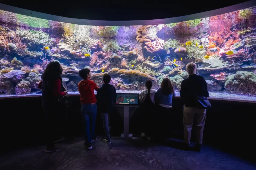 Visitors standing in front of the wide coral reef tank at the Seville aquarium