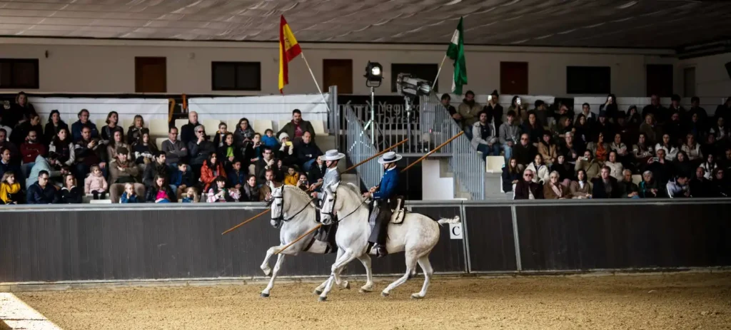 A white Andalusian horse working in the arena during an equestrian show