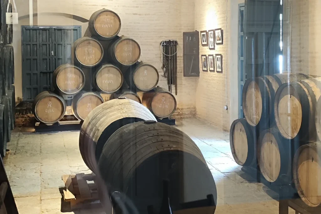 Oak barrels stacked in the ageing room of a winery near Seville